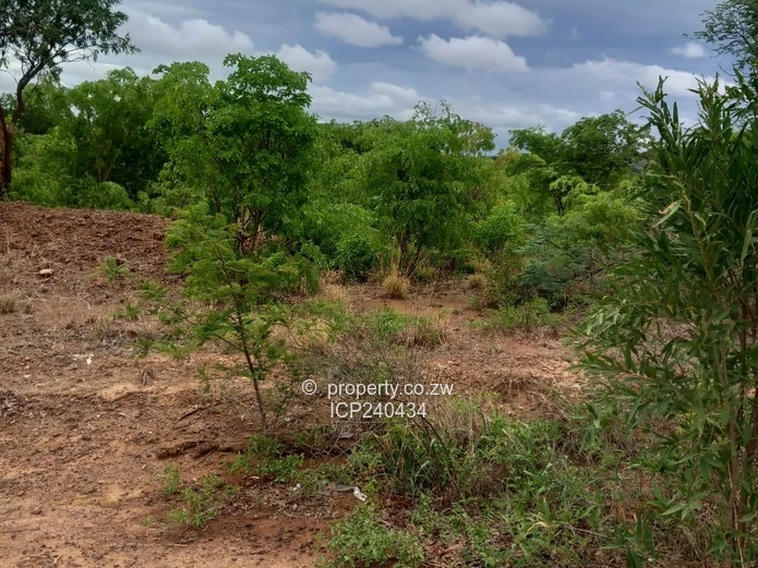 Sabonabona Kadoma 2700sqm for USD 28 000