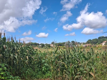 Commercial & Industrial Land