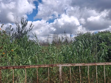 Commercial & Industrial Land