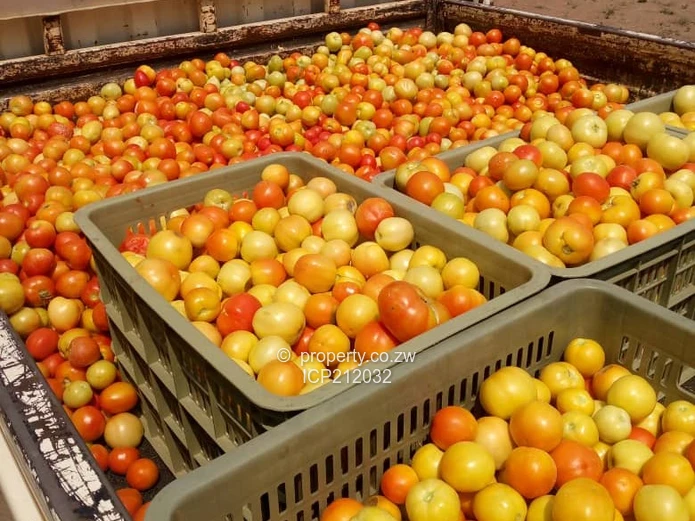 Clon Moran Kadoma 1.02 hectare plots for $10K Cash. Terms also available