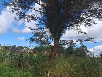 Commercial & Industrial Land