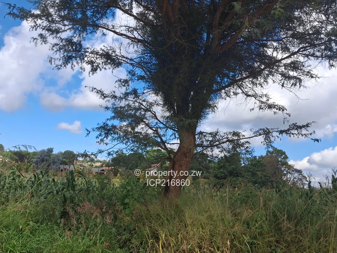 Grange 12.3655 hectares for 2.5million