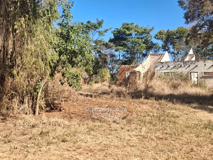 Glenforest 41 hectares with Deeds 