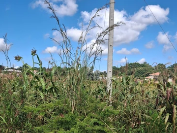 Commercial & Industrial Land