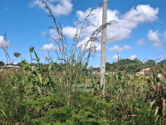 Grange 12.3655 hectares for 2.5million