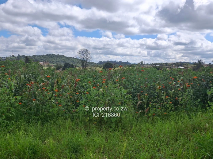 Grange 12.3655 hectares for 2.5million