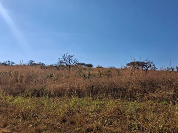 Farm & Agricultural Land