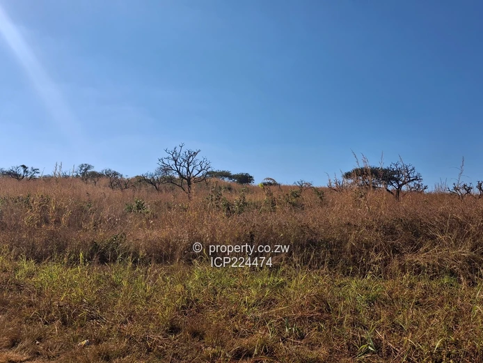 Glenforest 41 hectares with Deeds 