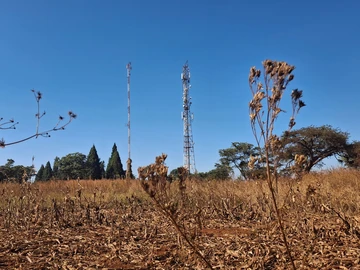 Farm & Agricultural Land