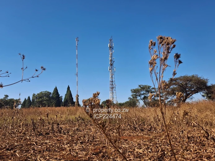 Glenforest 41 hectares with Deeds 