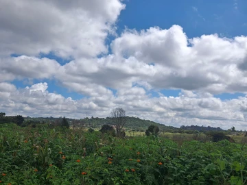 Commercial & Industrial Land