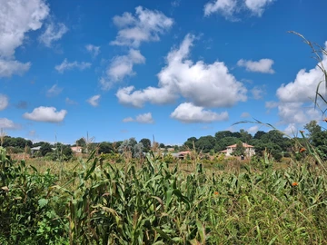 Commercial & Industrial Land