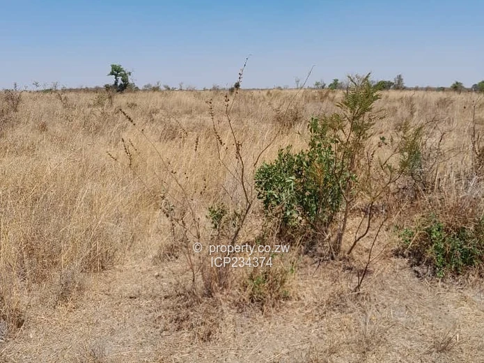 2.00Ha AGRO-PLOTS Available in Beatrice (Sole Mandate)