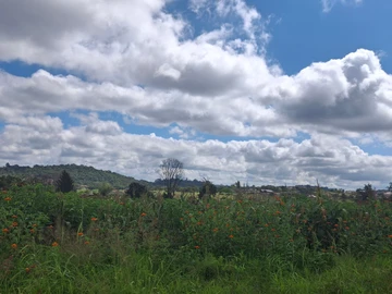 Commercial & Industrial Land