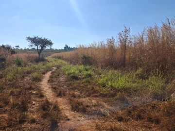 Farm & Agricultural Land