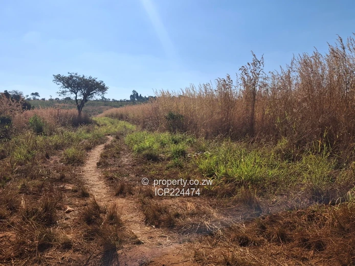 Glenforest 41 hectares with Deeds 