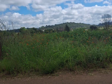 Commercial & Industrial Land