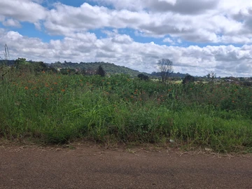 Commercial & Industrial Land