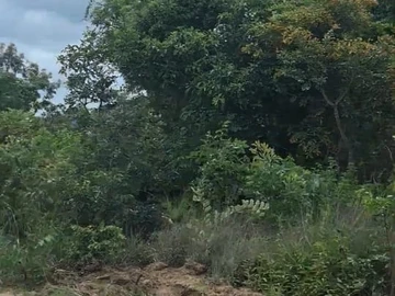 Farm & Agricultural Land