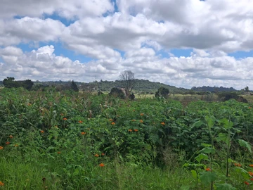 Commercial & Industrial Land