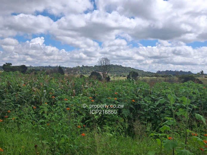 Grange 12.3655 hectares for 2.5million