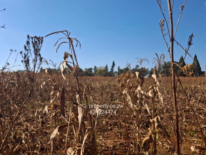 Glenforest 41 hectares with Deeds 