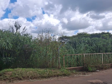 Commercial & Industrial Land