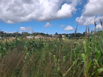 Commercial & Industrial Land