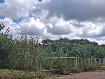 Commercial & Industrial Land