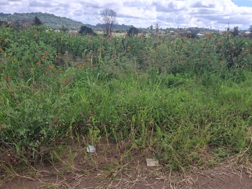 Commercial & Industrial Land