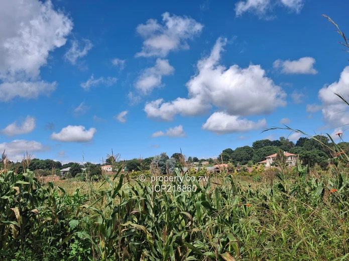 Grange 12.3655 hectares for 2.5million