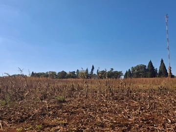 Farm & Agricultural Land