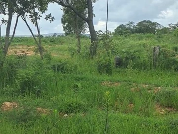 Farm & Agricultural Land