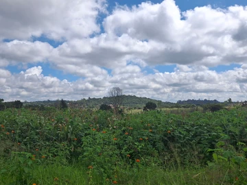 Commercial & Industrial Land