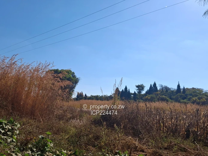 Glenforest 41 hectares with Deeds 