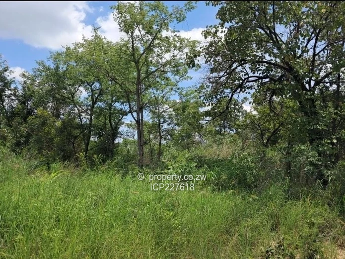 10 Hectares of Agricultural Land in Goromonzi, Zimbabwe with a Parent Deed terms available 