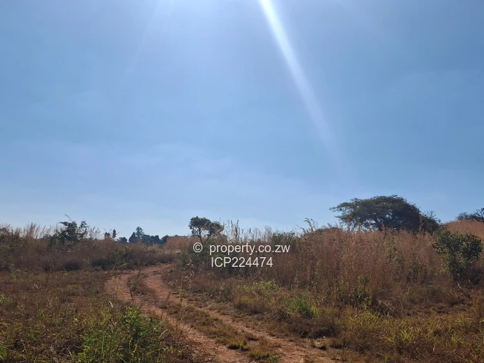 Glenforest 41 hectares with Deeds 