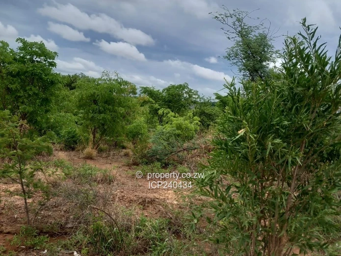 Sabonabona Kadoma 2700sqm for USD 28 000