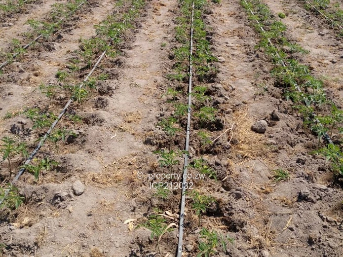 Clon Moran Kadoma 1.02 hectare plots for $10K Cash. Terms also available