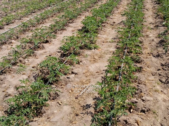 Clon Moran Kadoma 1.02 hectare plots for $10K Cash. Terms also available