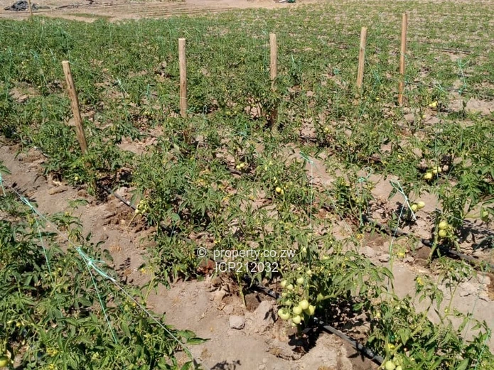 Clon Moran Kadoma 1.02 hectare plots for $10K Cash. Terms also available